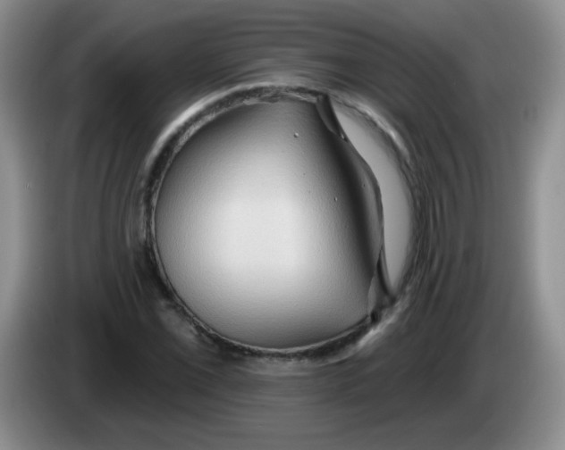 X0000083971069200703091757