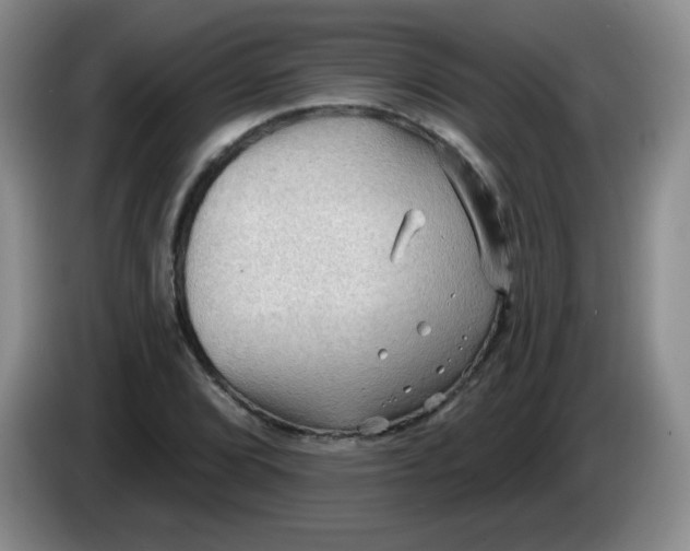 X0000083971072200703091757