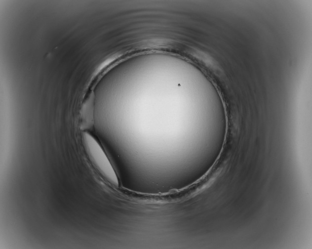 X0000083971073200703091757