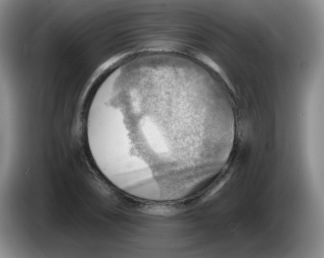 X0000083971074200703091757