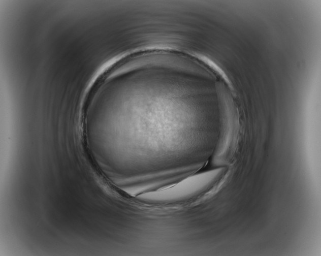 X0000083971077200703091757