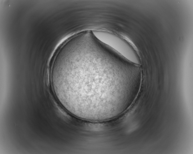 X0000083971079200703091757