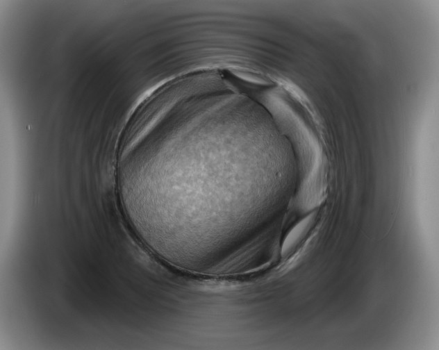 X0000083971081200703091757
