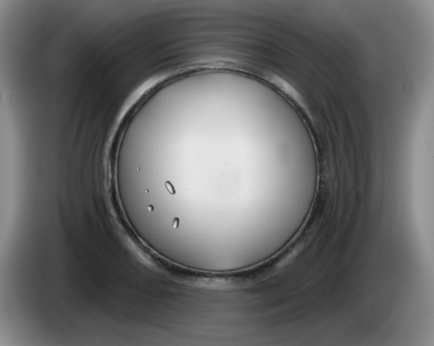 X0000083971082200703091757