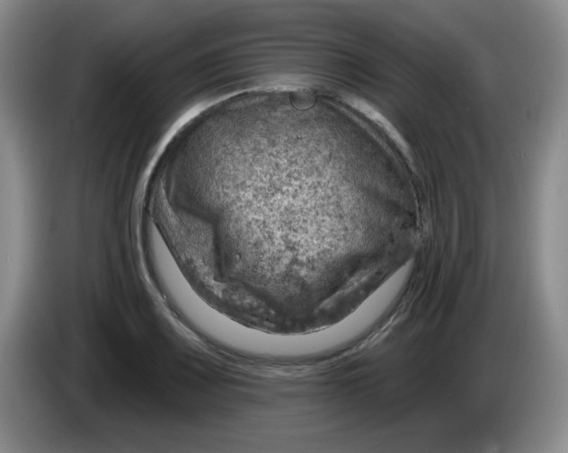 X0000083971083200703091757
