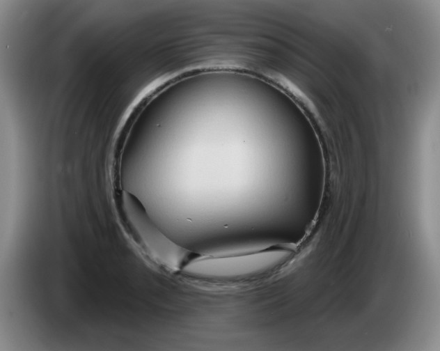 X0000083971085200703091757