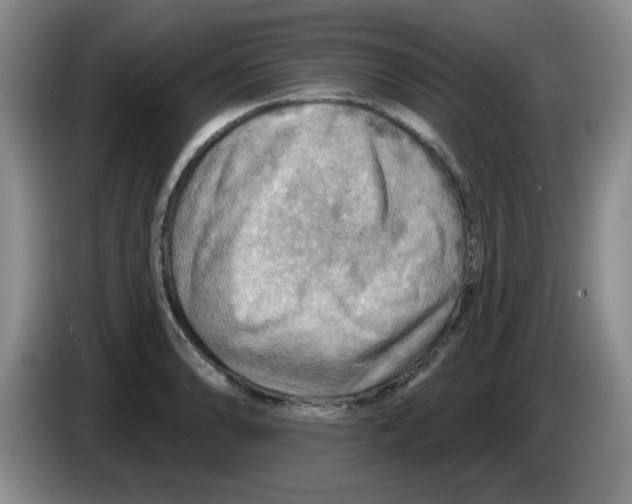 X0000083971086200703091757