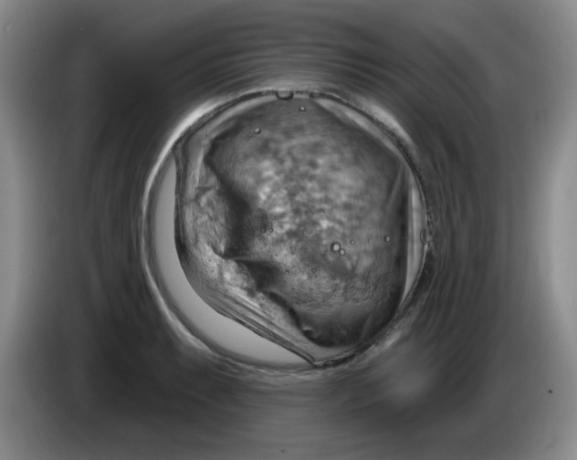 X0000083971087200703091757