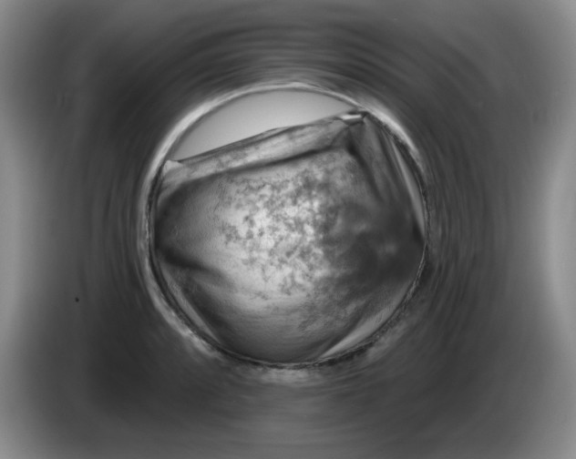 X0000083971088200703091757