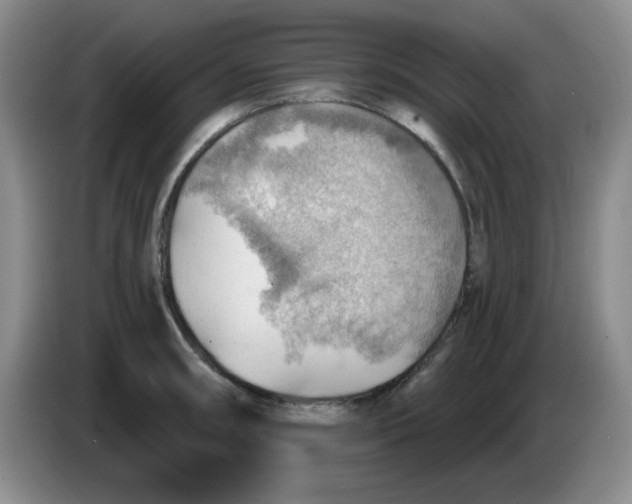 X0000083971090200703091757