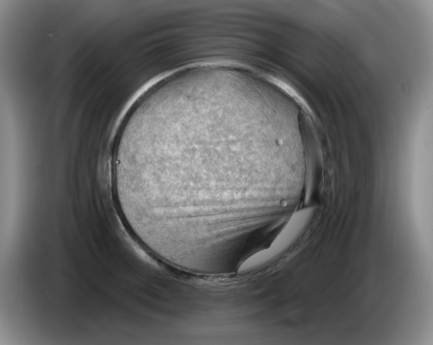 X0000083971092200703091757
