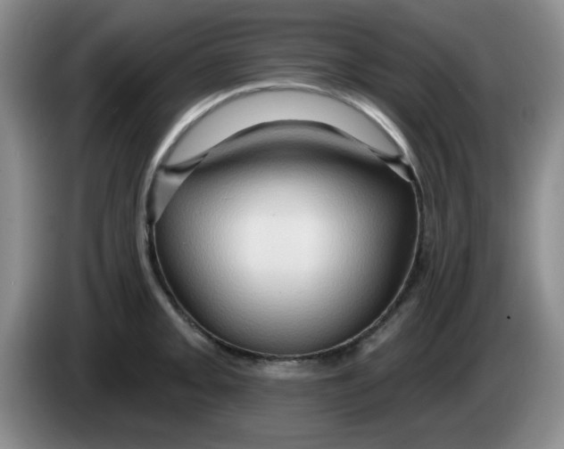 X0000083971093200703091757