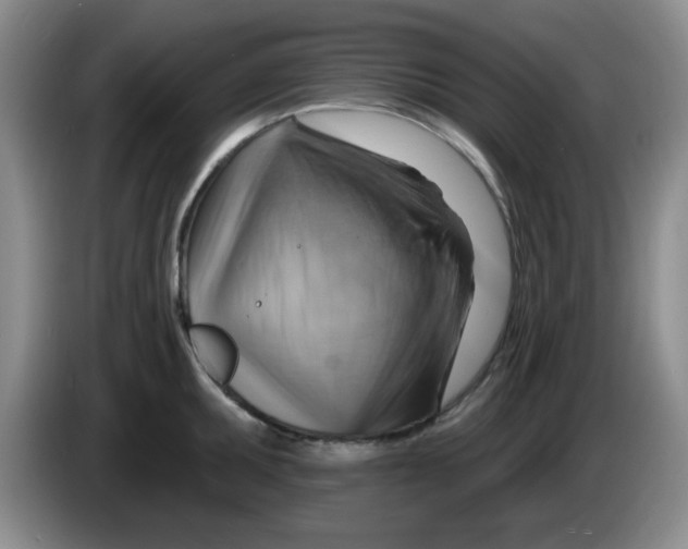 X0000083971095200703091757