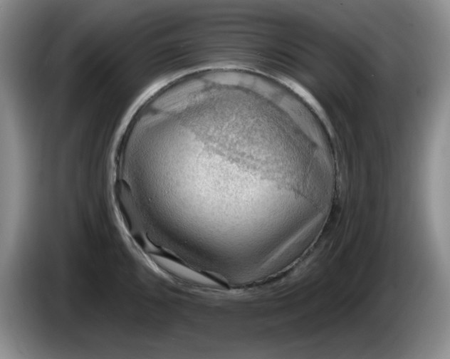 X0000083971096200703091757