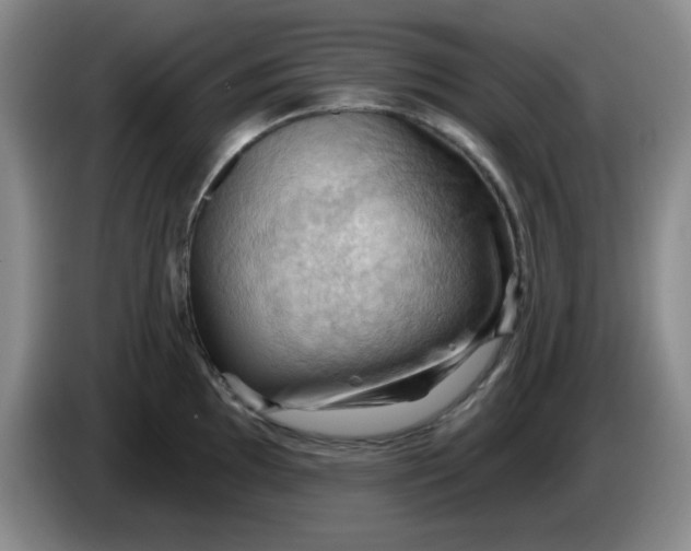 X0000083971097200703091757