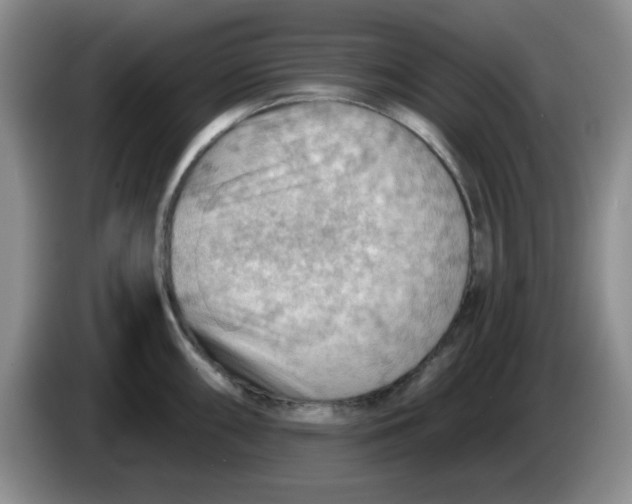 X0000083971098200703091757