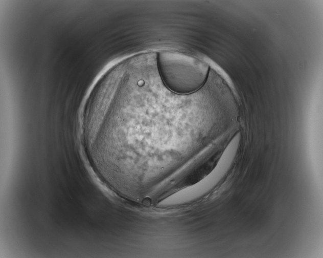 X0000083971099200703091757