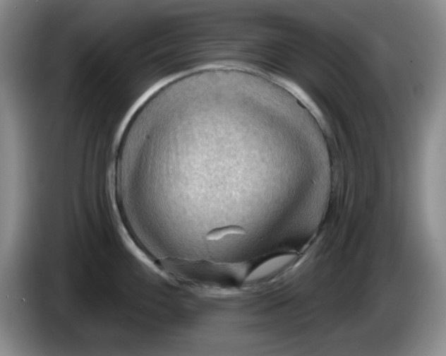 X0000083971100200703091757