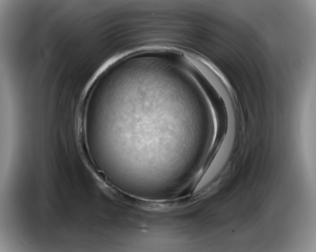 X0000083971101200703091757