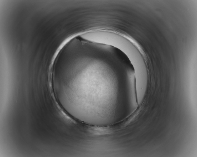 X0000083971102200703091757