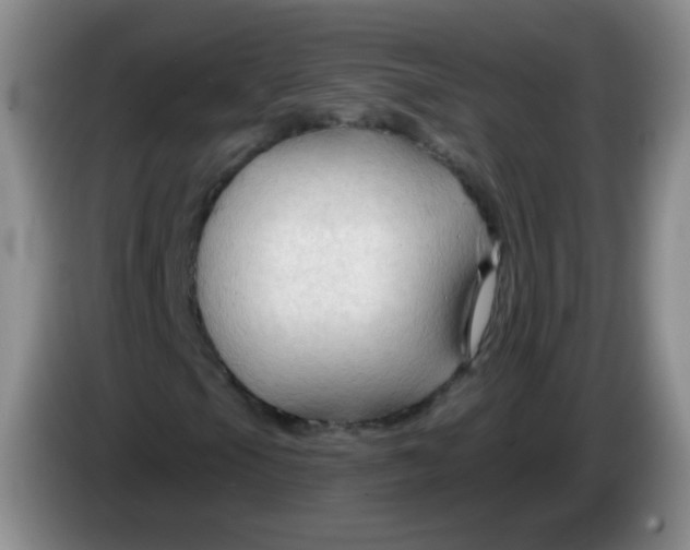 X0000083971105200703091756