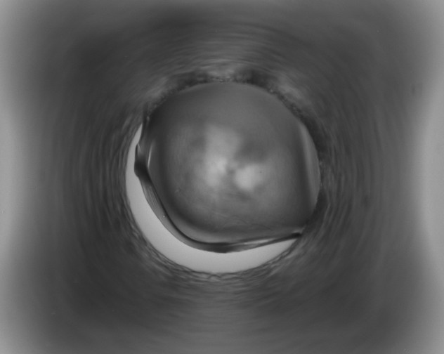 X0000083971106200703091756