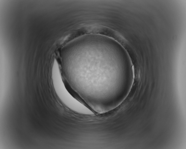 X0000083971108200703091756