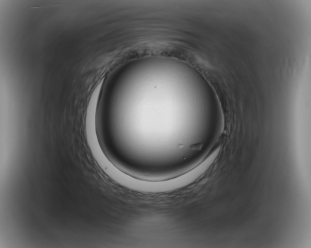 X0000083971109200703091756