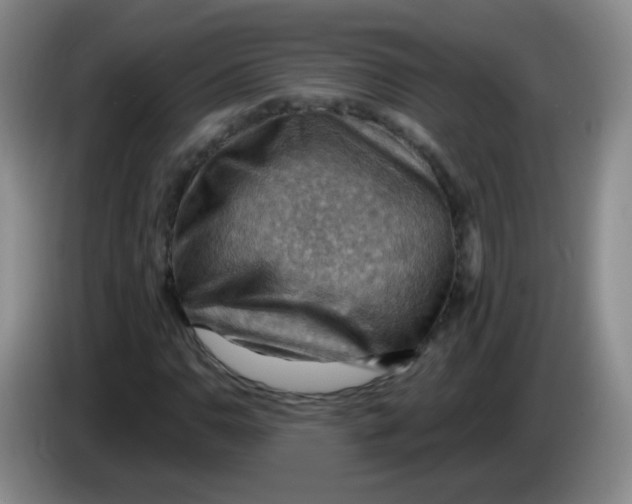 X0000083971110200703091756