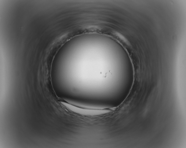 X0000083971111200703091756
