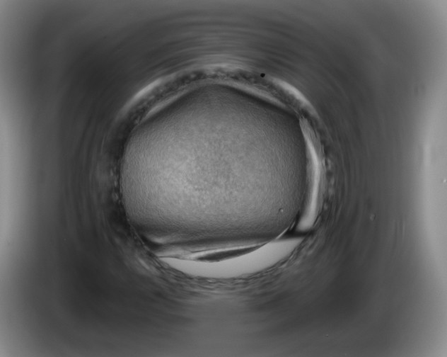 X0000083971112200703091756