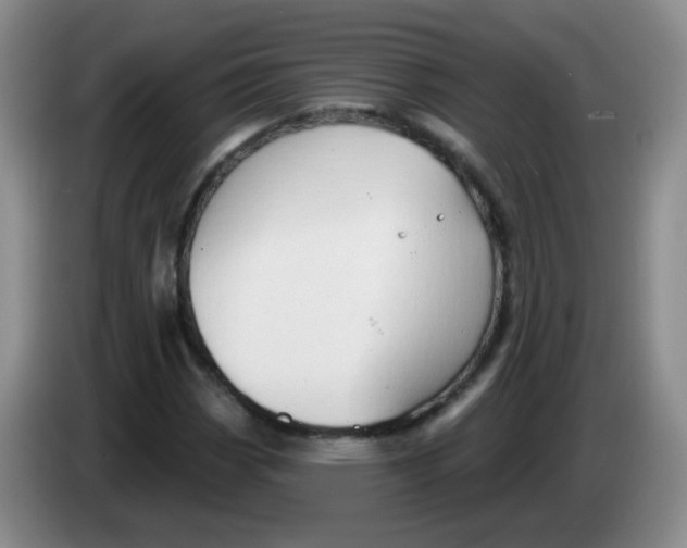 X0000083971113200703091756