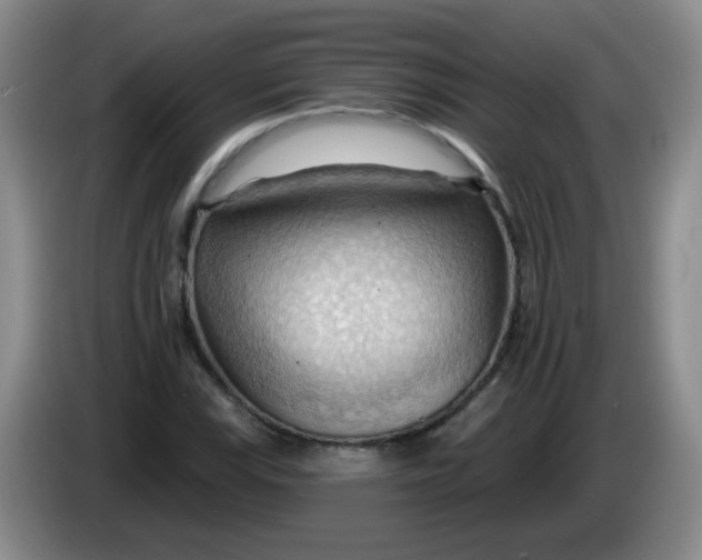 X0000083971115200703091756