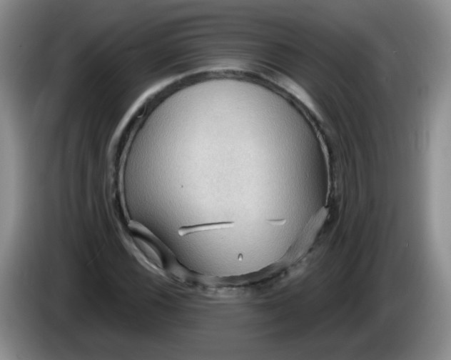 X0000083971116200703091756