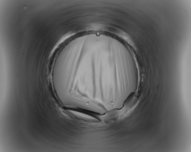 X0000083971117200703091756