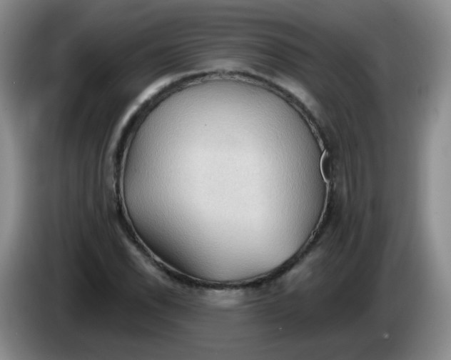 X0000083971118200703091756