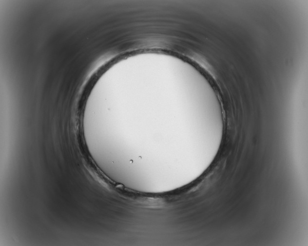 X0000083971119200703091756