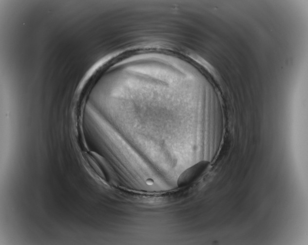 X0000083971120200703091756