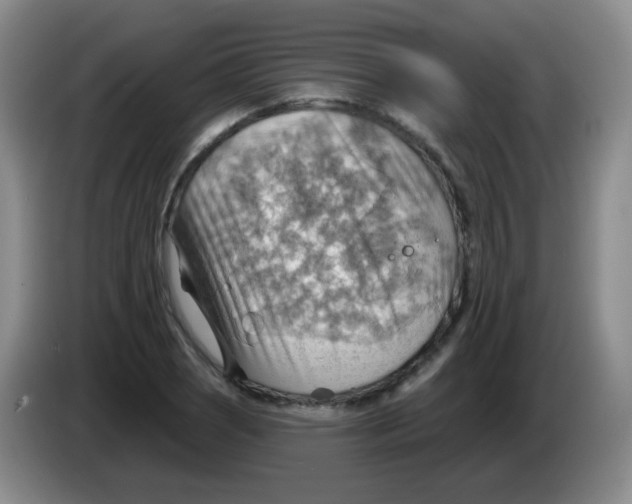 X0000083971121200703091756