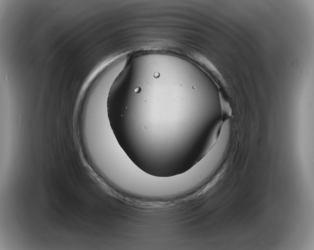 X0000083971122200703091756