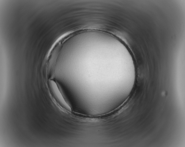 X0000083971123200703091756