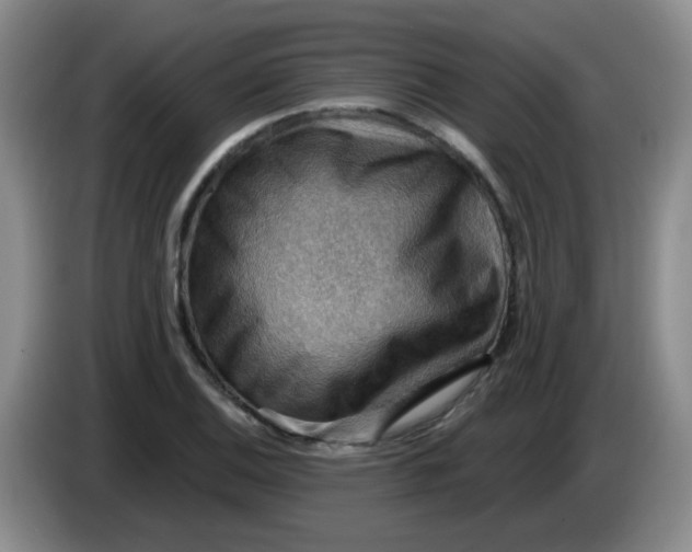 X0000083971124200703091756