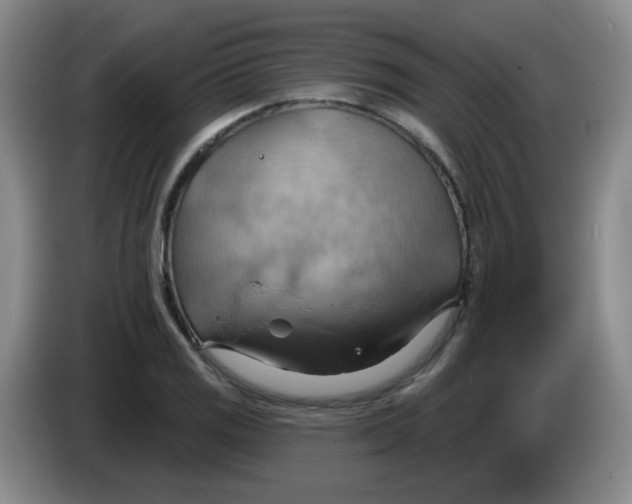 X0000083971125200703091756