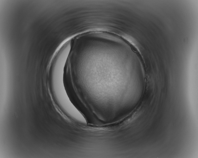 X0000083971127200703091756