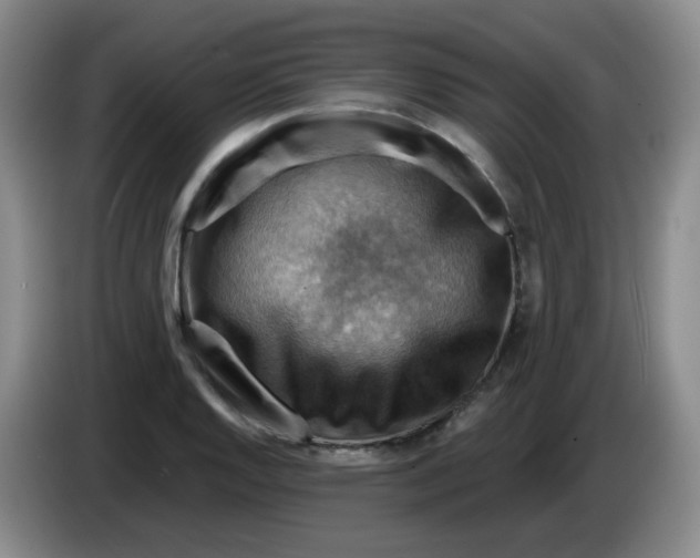 X0000083971128200703091756