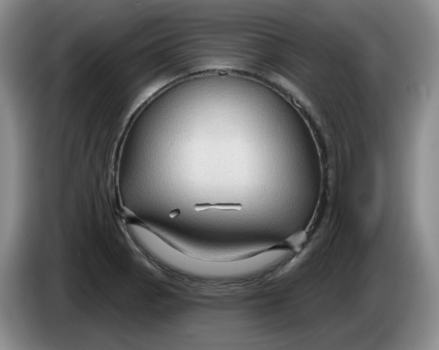 X0000083971129200703091756