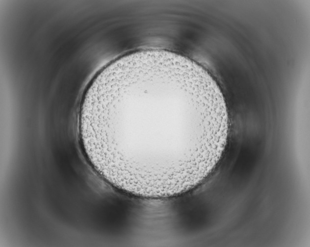 X0000083971130200703091756