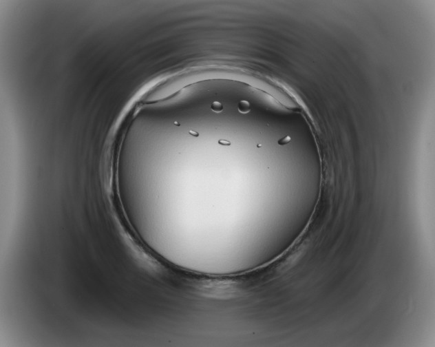 X0000083971131200703091756
