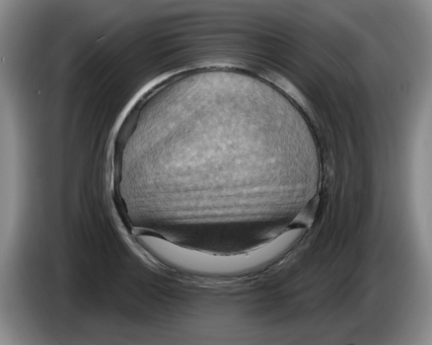 X0000083971132200703091756