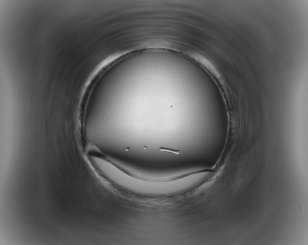 X0000083971133200703091756